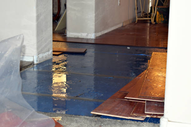 Professional Water Damage Restoration technician working in Elgin, MN